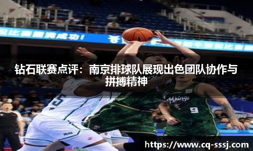 BB贝博登录入口