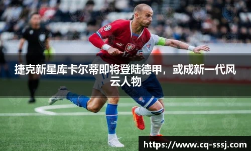 BB贝博登录入口