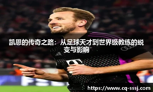 BB贝博