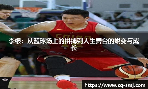 BB贝博登录入口